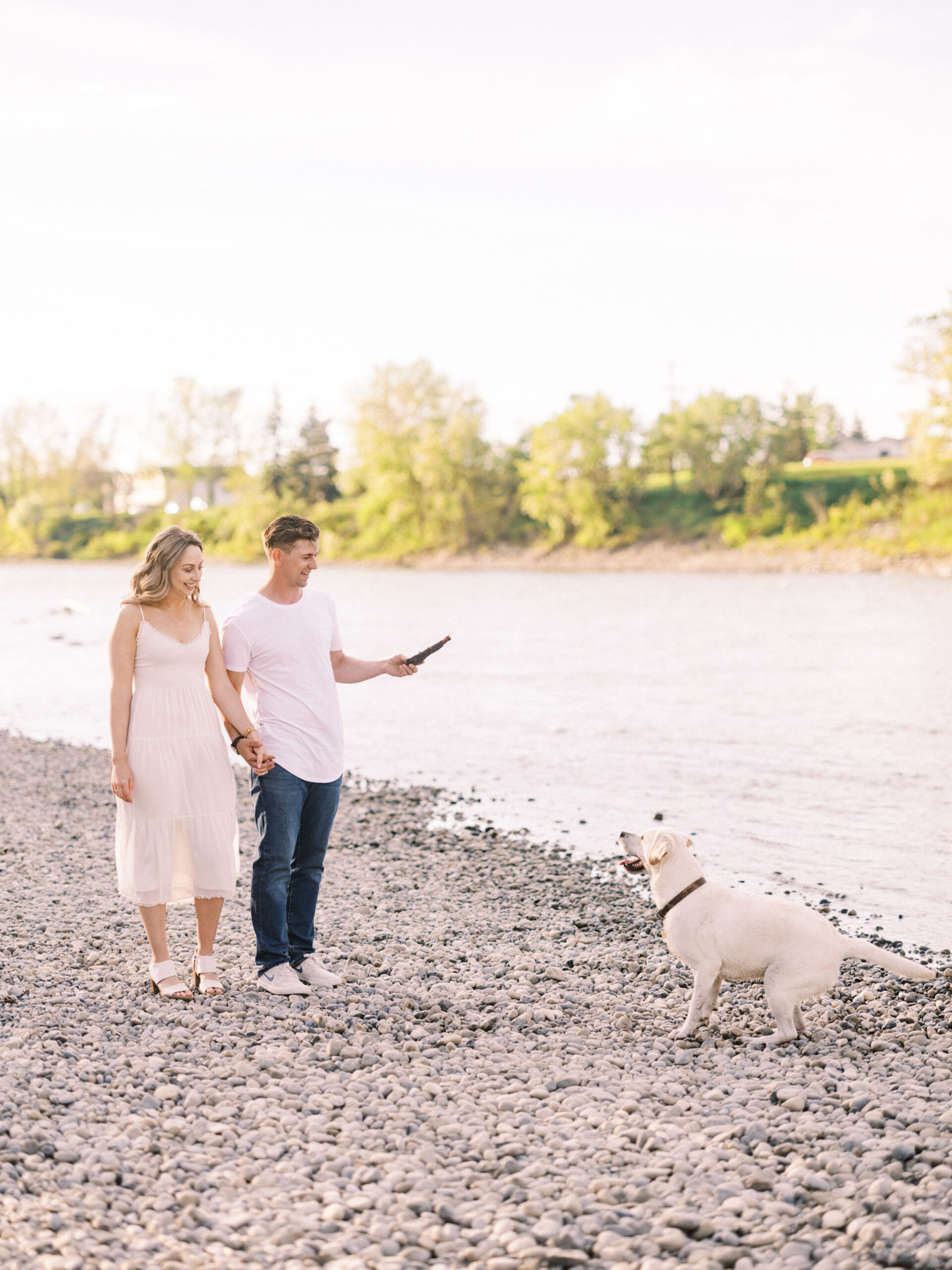 Cherry Blossom Spring Engagement Session, river engagement couple laughing, couple embracing, engagement pose sunset, sunset engagement photos, labrador retriever engagement photos, dog engagement session, puppy engagement session, alberta wedding photographers, alberta photographer, calgary wedding, calgary wedding photographer, spring engagement session, spring photos, nicole sarah, cherry blossom photos, cherry blossom engagement, wedding poses, white dress engagement, sundress white, engagement photos, bow river, puppy engagement photos, neutral engagement photos
