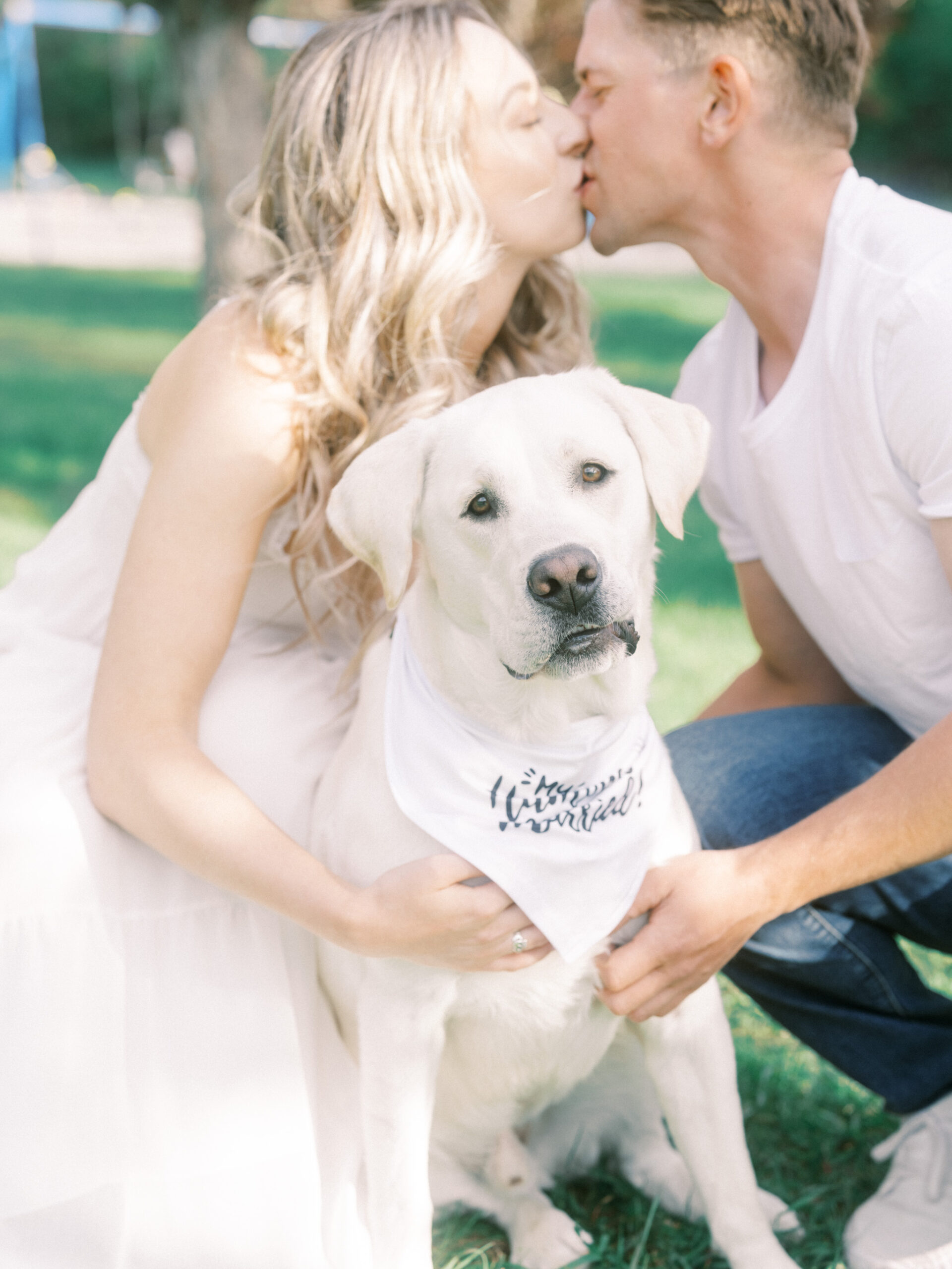 Cherry Blossom Spring Engagement Session, river engagement couple laughing, couple embracing, engagement pose sunset, sunset engagement photos, labrador retriever engagement photos, dog engagement session, puppy engagement session, alberta wedding photographers, alberta photographer, calgary wedding, calgary wedding photographer, spring engagement session, spring photos, nicole sarah, cherry blossom photos, cherry blossom engagement, wedding poses, white dress engagement, sundress white, engagement photos, bow river, puppy engagement photos, neutral engagement photos