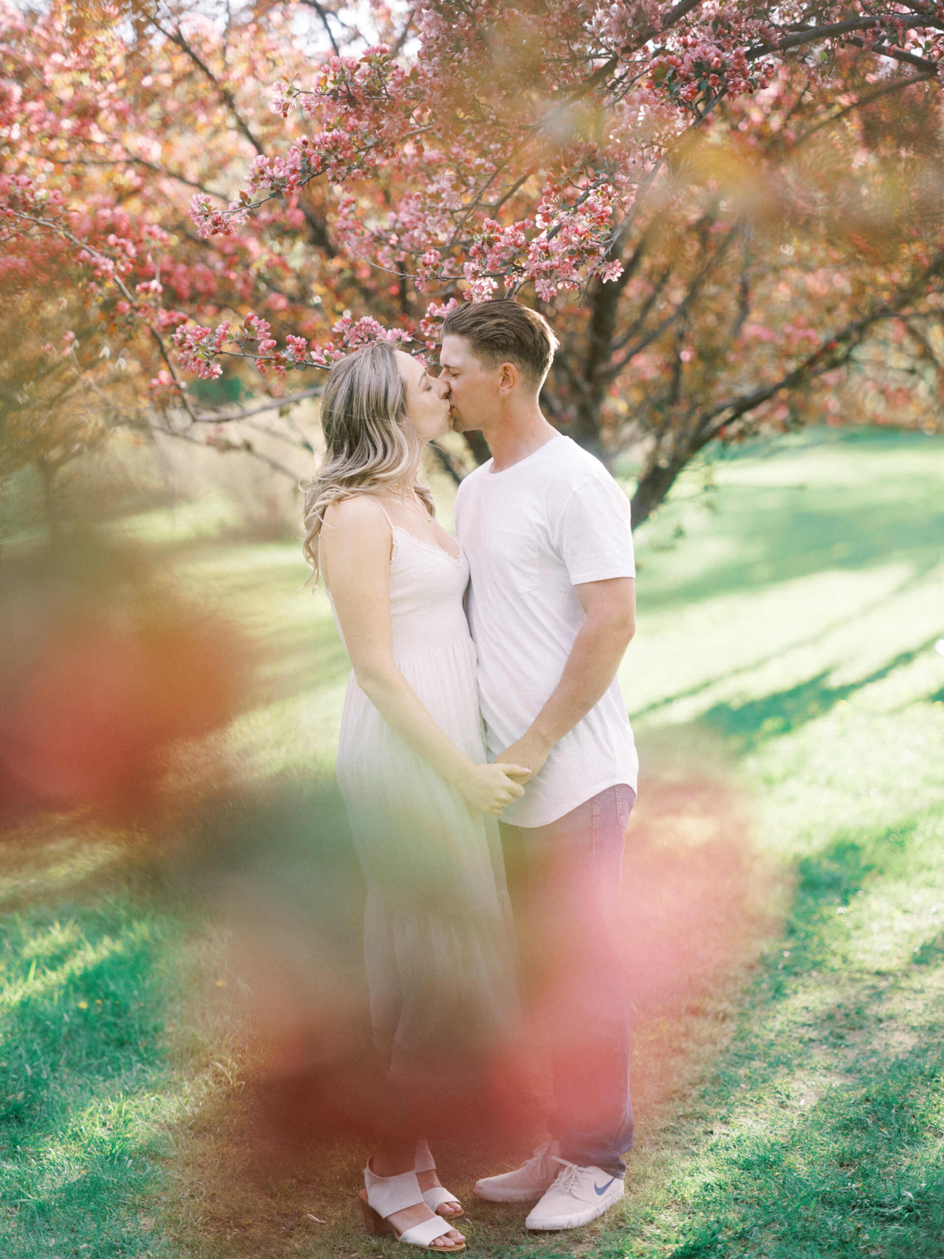 Cherry Blossom Spring Engagement Session, river engagement couple laughing, couple embracing, engagement pose sunset, sunset engagement photos, labrador retriever engagement photos, dog engagement session, puppy engagement session, alberta wedding photographers, alberta photographer, calgary wedding, calgary wedding photographer, spring engagement session, spring photos, nicole sarah, cherry blossom photos, cherry blossom engagement, wedding poses, white dress engagement, sundress white, engagement photos, bow river, puppy engagement photos, neutral engagement photos