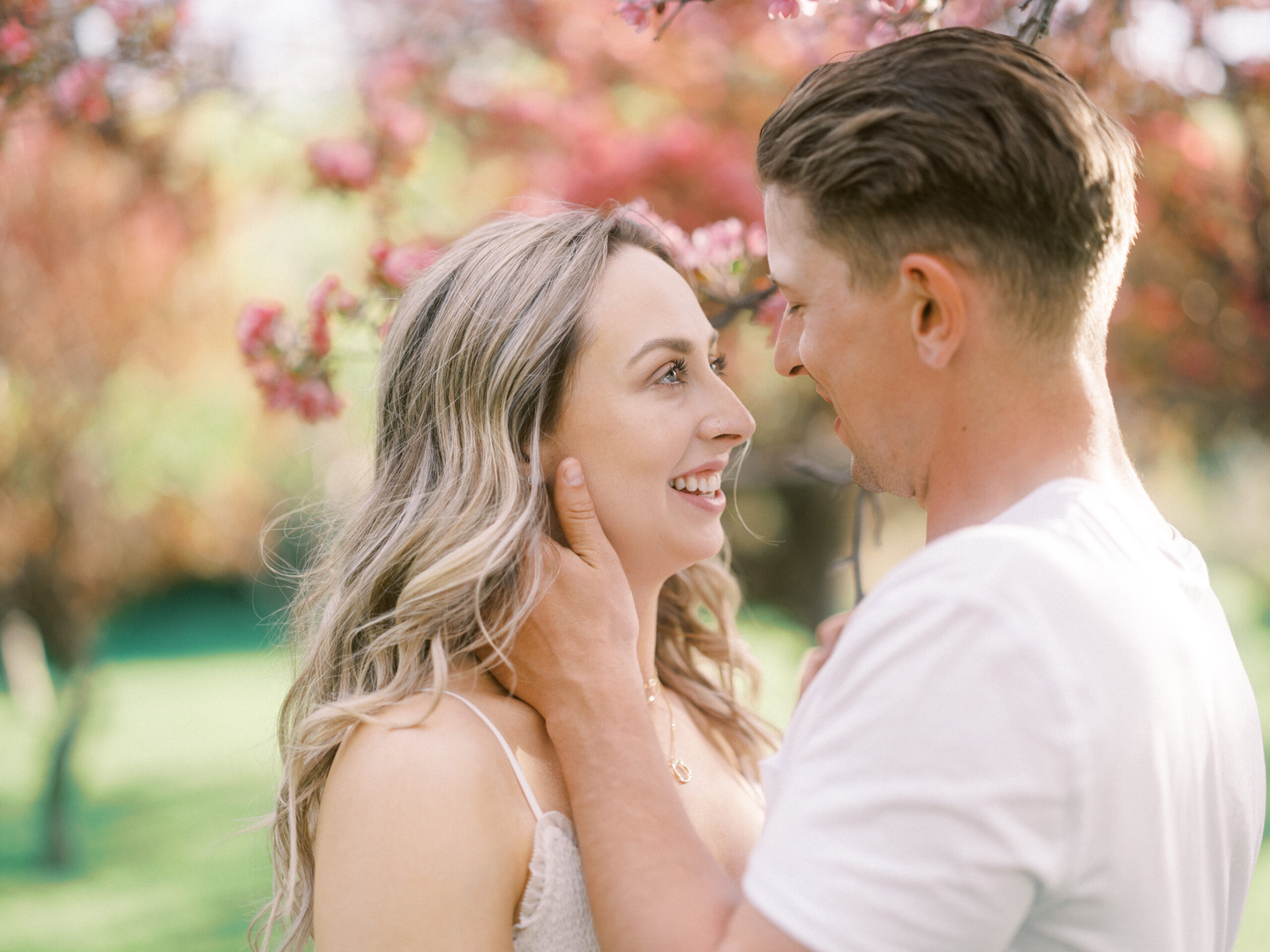 Cherry Blossom Spring Engagement Session, river engagement couple laughing, couple embracing, engagement pose sunset, sunset engagement photos, labrador retriever engagement photos, dog engagement session, puppy engagement session, alberta wedding photographers, alberta photographer, calgary wedding, calgary wedding photographer, spring engagement session, spring photos, nicole sarah, cherry blossom photos, cherry blossom engagement, wedding poses, white dress engagement, sundress white, engagement photos, bow river, puppy engagement photos, neutral engagement photos