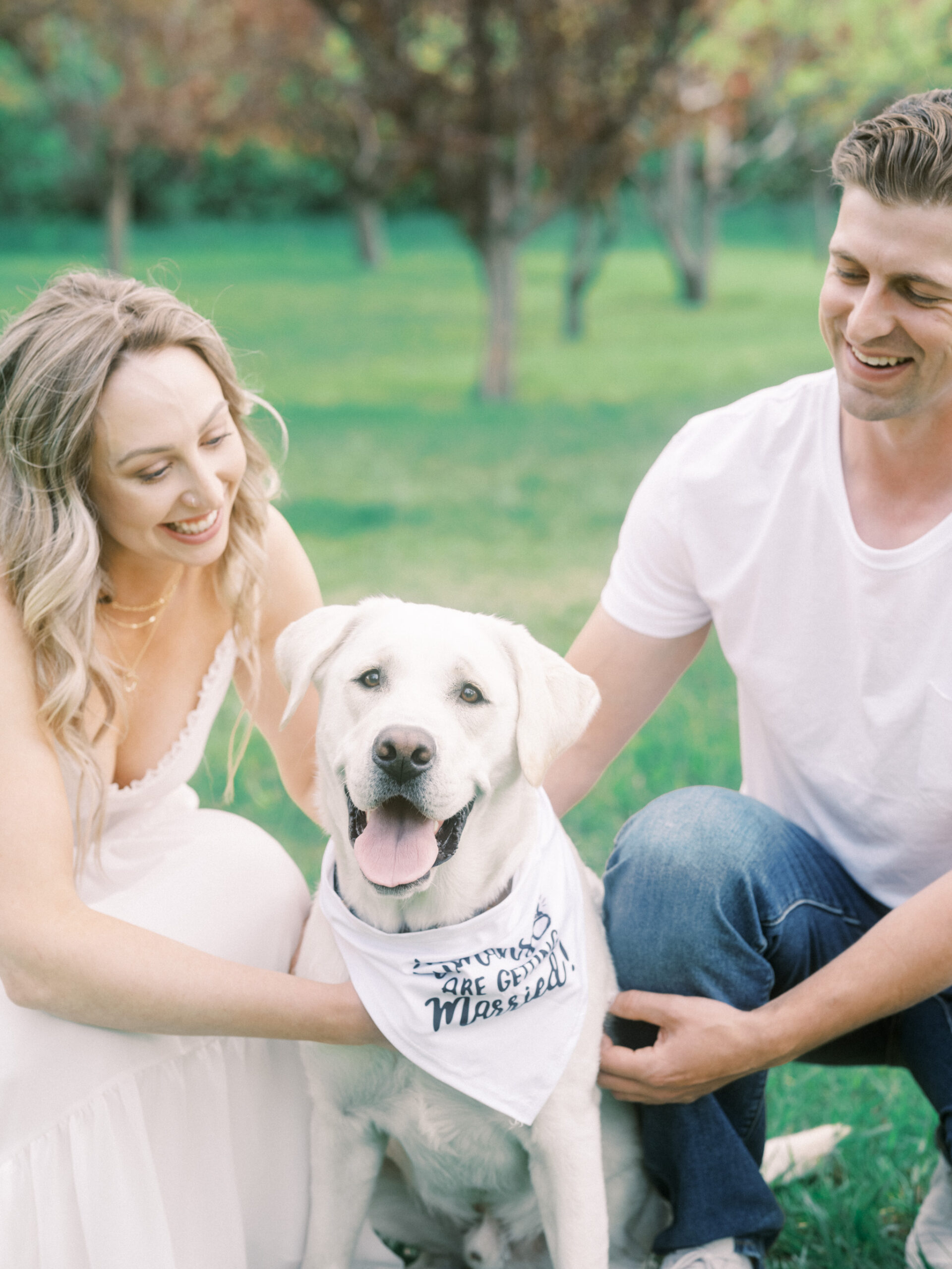 Cherry Blossom Spring Engagement Session, river engagement couple laughing, couple embracing, engagement pose sunset, sunset engagement photos, labrador retriever engagement photos, dog engagement session, puppy engagement session, alberta wedding photographers, alberta photographer, calgary wedding, calgary wedding photographer, spring engagement session, spring photos, nicole sarah, cherry blossom photos, cherry blossom engagement, wedding poses, white dress engagement, sundress white, engagement photos, bow river, puppy engagement photos, neutral engagement photos