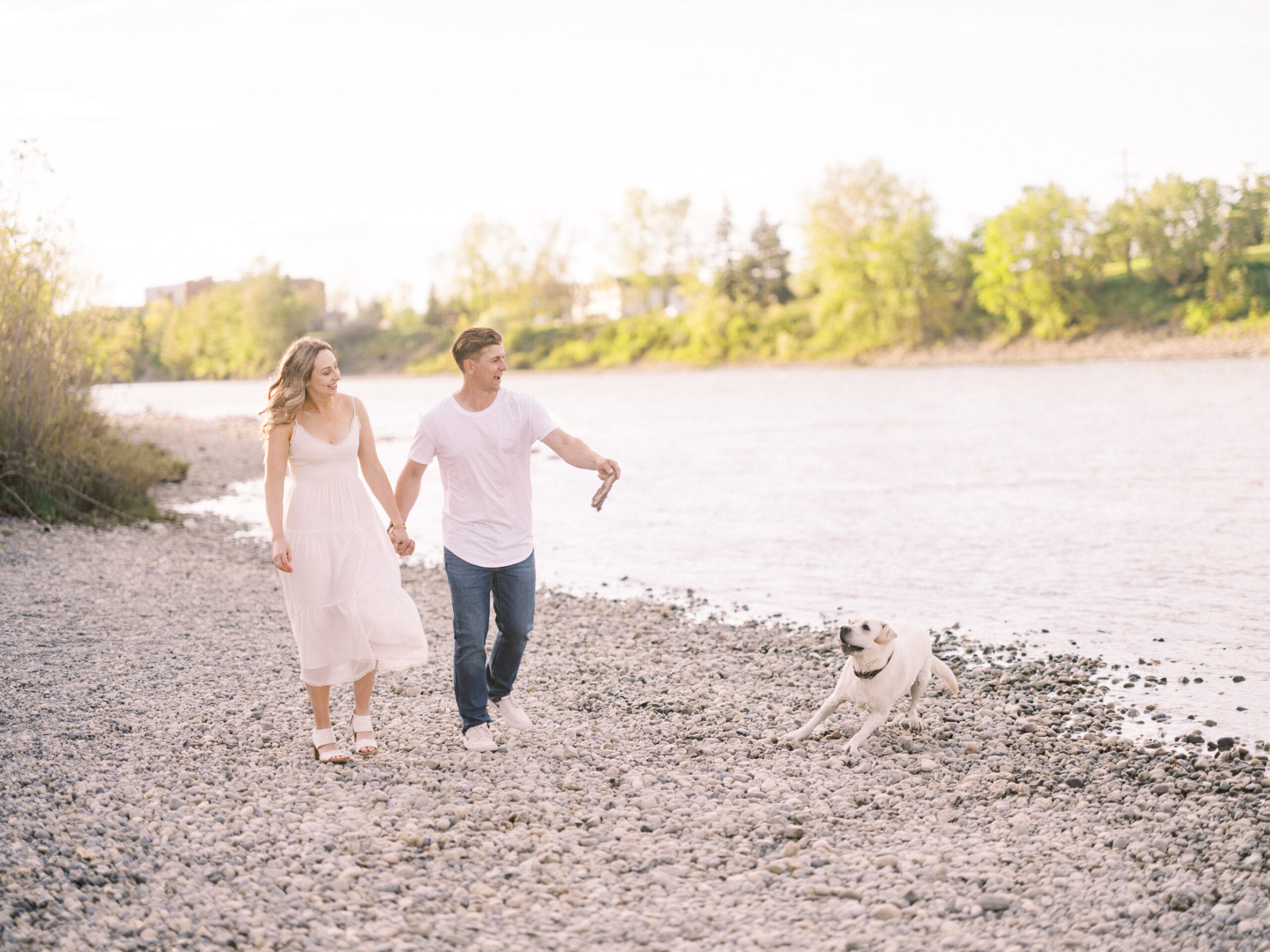 Cherry Blossom Spring Engagement Session, river engagement couple laughing, couple embracing, engagement pose sunset, sunset engagement photos, labrador retriever engagement photos, dog engagement session, puppy engagement session, alberta wedding photographers, alberta photographer, calgary wedding, calgary wedding photographer, spring engagement session, spring photos, nicole sarah, cherry blossom photos, cherry blossom engagement, wedding poses, white dress engagement, sundress white, engagement photos, bow river, puppy engagement photos, neutral engagement photos