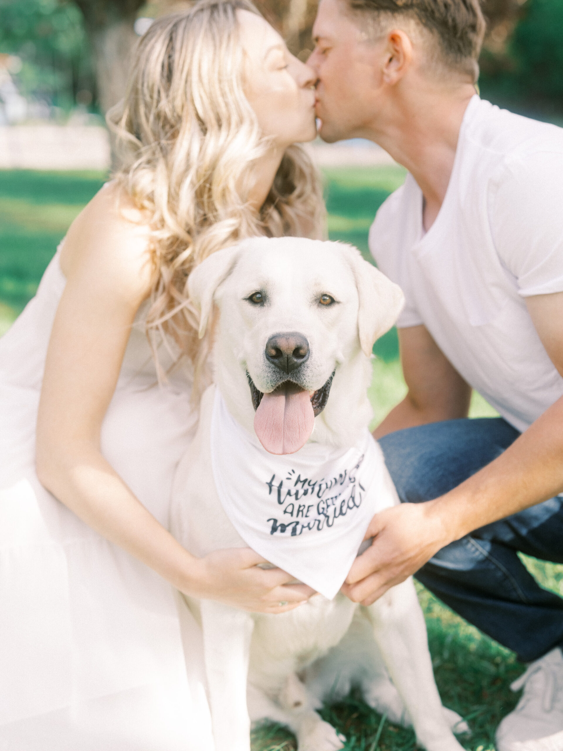 Cherry Blossom Spring Engagement Session, river engagement couple laughing, couple embracing, engagement pose sunset, sunset engagement photos, labrador retriever engagement photos, dog engagement session, puppy engagement session, alberta wedding photographers, alberta photographer, calgary wedding, calgary wedding photographer, spring engagement session, spring photos, nicole sarah, cherry blossom photos, cherry blossom engagement, wedding poses, white dress engagement, sundress white, engagement photos, bow river, puppy engagement photos, neutral engagement photos